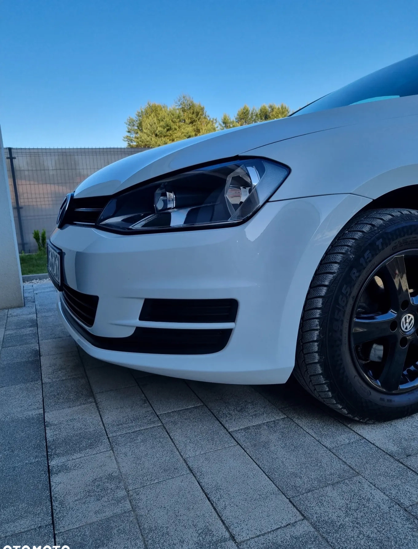 Volkswagen Golf cena 45900 przebieg: 65000, rok produkcji 2017 z Biała Piska małe 46